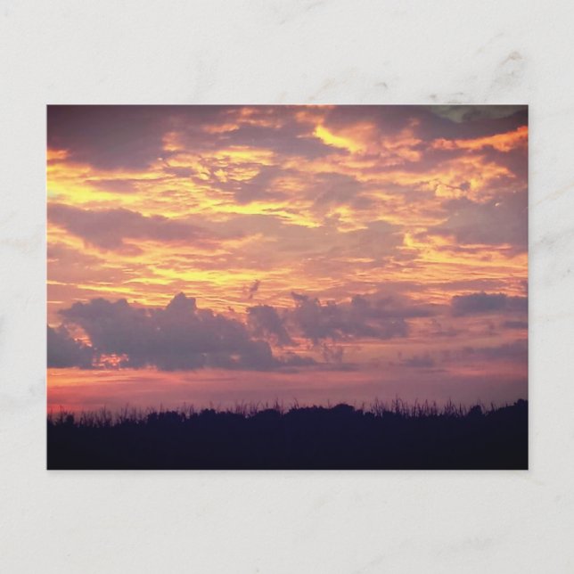 Sunset Postcard (Front)