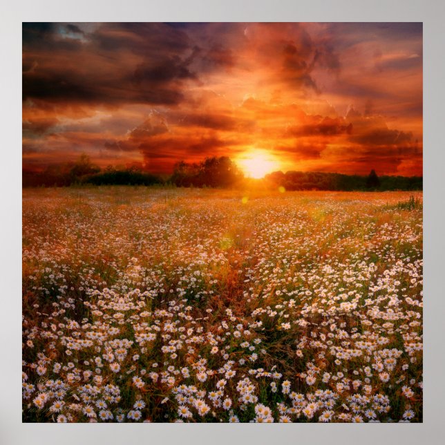 Sunset Poster (Front)