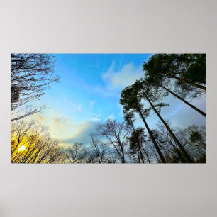 Sunset, poster
