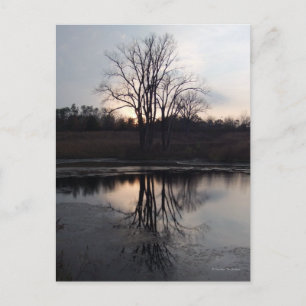 Sunset Reflections Photo Postcard