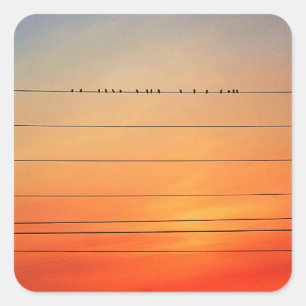 Sunset Roost Fine Art Photography Square Sticker