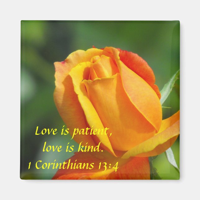 Sunset Rose - Love Magnet (Front)