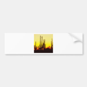 Sunset Saguaro Cactus At Bumper Sticker