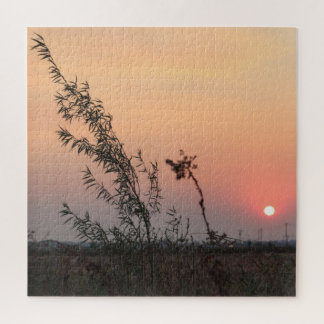 Sunset Sass Puzzle