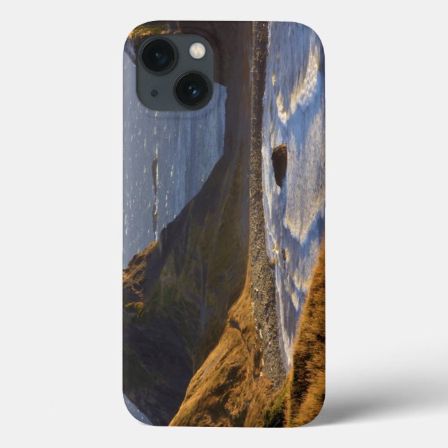Sunset, Sea Stacks, Sisters, Oregon Coast Case-Mate iPhone Case (Back)