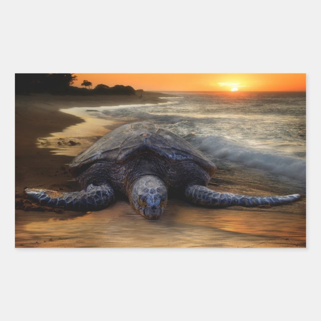 Sunset Sea Turtle Sticker (Front)