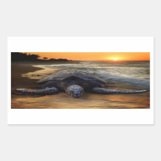 Sunset Sea Turtle Sticker
