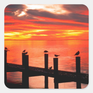 Sunset Seagulls At Fort Myers Florida Square Sticker