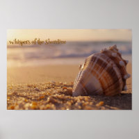 Sunset Serenity: Seashell on the Shore