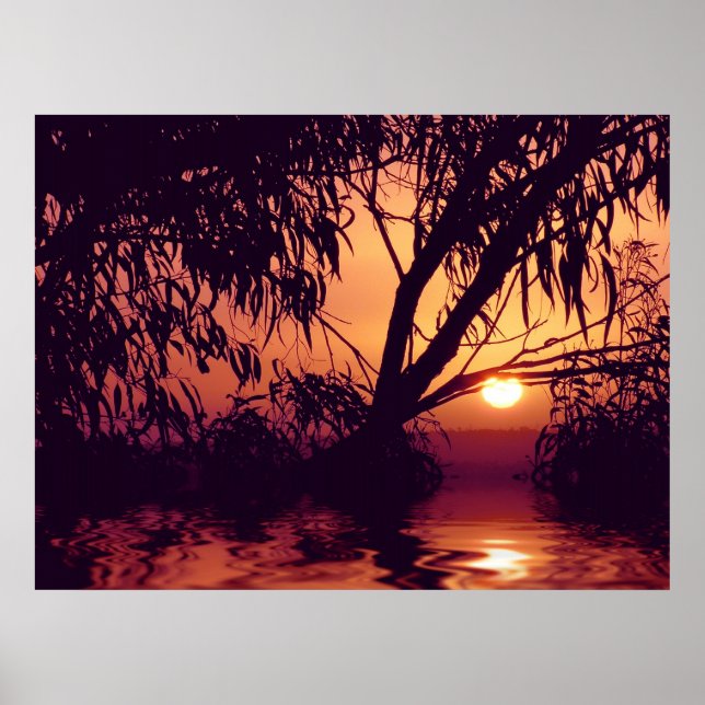 Sunset Silhouette Habitat Poster (Front)