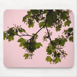 Sunset Silhouette Mousepad