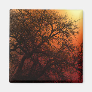 Sunset Silhouette Winter Tree Magnet
