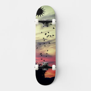 Sunset skateboard