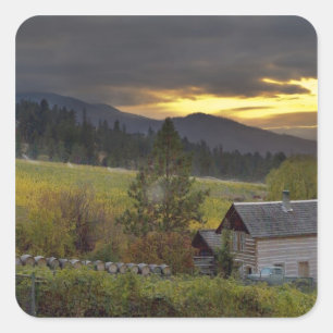 Sunset sky over vineyards and historic log cabin square sticker