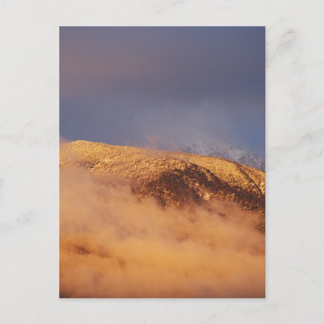 Sunset Snow Mount Bogong  Postcard (Front)