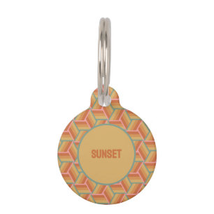 Sunset Stripes Geometric Retro 3D Box Illusion Pet Tag