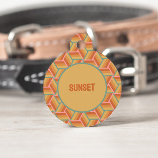 Sunset Stripes Geometric Retro 3D Box Illusion Pet Tag