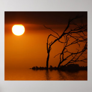 sunset sun silhouette Poster