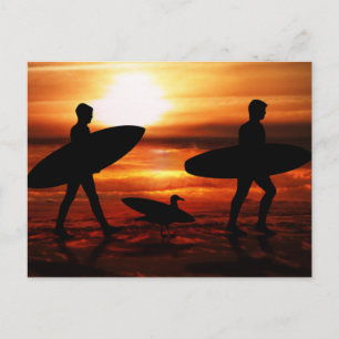 Sunset Surfers Postcard