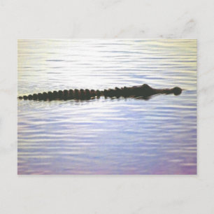 SUNSET SWIM POSTCARD