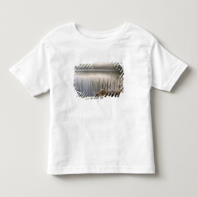 Sunset through fog over Upper Hadlock Pond Toddler T-Shirt (Front)