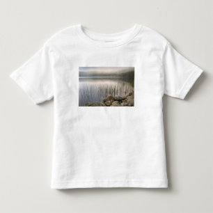 Sunset through fog over Upper Hadlock Pond Toddler T-Shirt