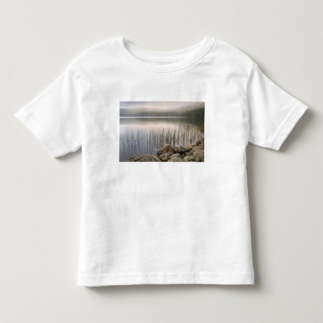 Sunset through fog over Upper Hadlock Pond Toddler T-Shirt (Front)