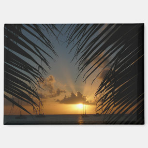 Sunset Through Palm Fronds Magnet
