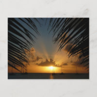 Sunset Through Palm Fronds Tropical Seascape