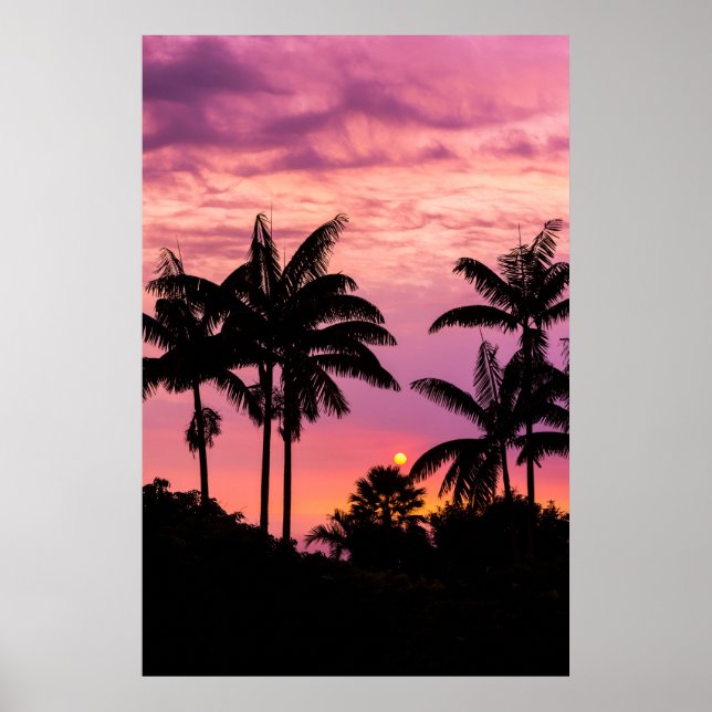 Sunset through Palm Trees Poster (Front)