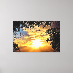 Sunset Through Silhouetted Leaves Canvas Print