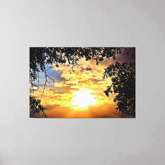 Sunset Through Silhouetted Leaves Canvas Print