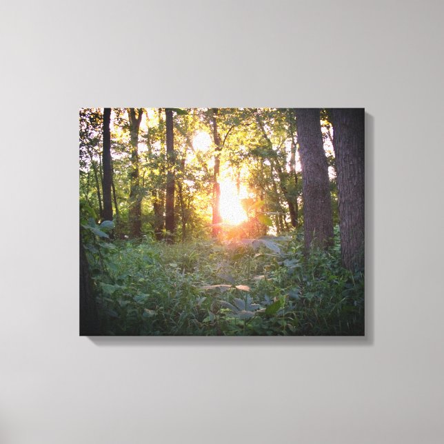 Sunset through the trees canvas print (Front)