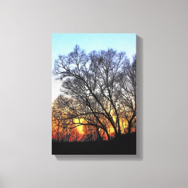 Sunset Through The Trees Canvas Print (Front)