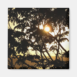 Sunset Through Trees I Tropical Photography Magnet