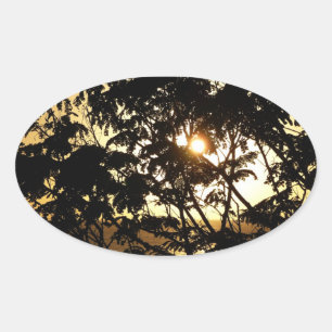 Sunset Through Trees I Tropical Photography Oval Sticker