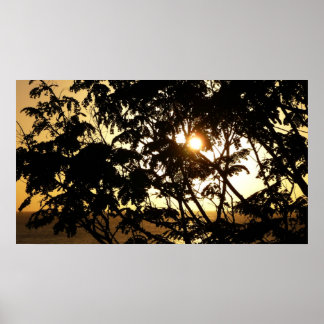 Sunset Through Trees I Tropical Photography Poster