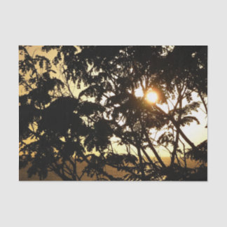 Sunset Through Trees I Tropical Photography Tissue Paper