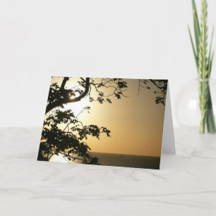 Sunset Through Trees II Tropical Photography Card