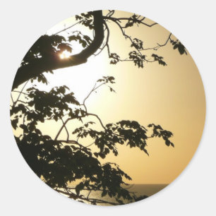 Sunset Through Trees II Tropical Photography Classic Round Sticker