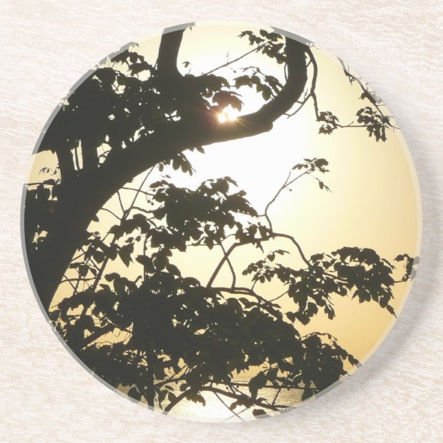 Sunset Through Trees II Tropical Photography Coaster (Front)