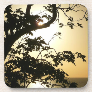 Sunset Through Trees II Tropical Photography Coaster