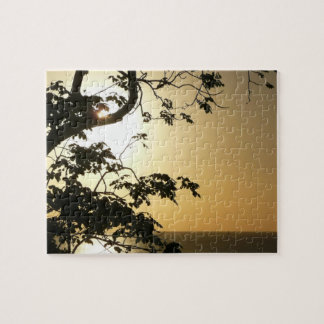 Sunset Through Trees II Tropical Photography Jigsaw Puzzle