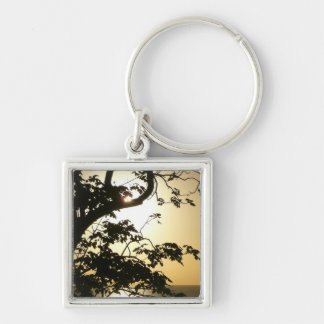 Sunset Through Trees II Tropical Photography Key Ring
