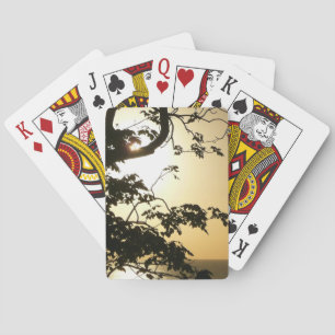 Sunset Through Trees II Tropical Photography Playing Cards