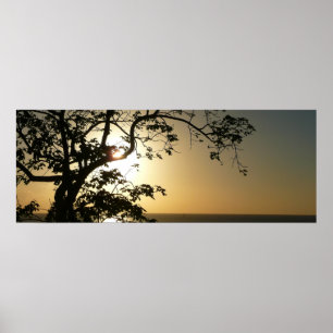 Sunset Through Trees II Tropical Photography Poster