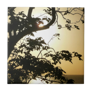 Sunset Through Trees II Tropical Photography Tile