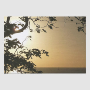 Sunset Through Trees II Tropical Photography Tissue Paper