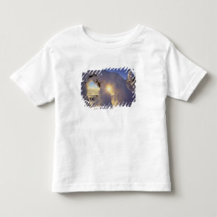 Sunset thru the Snowghosts at Big Mountain near Toddler T-Shirt