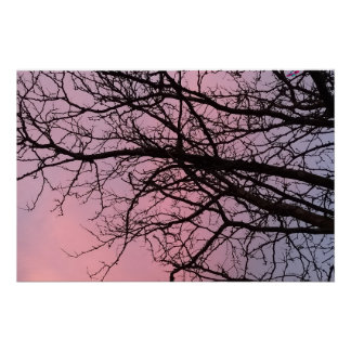 Sunset Tree Branches Photograph Planetm13 Poster